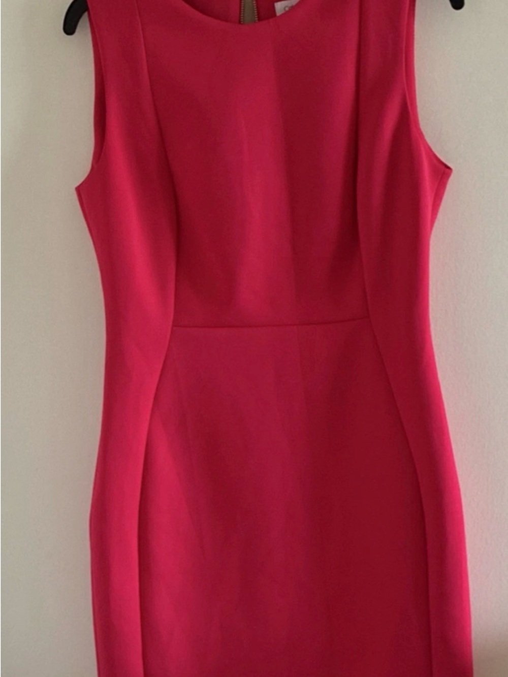 Calvin Klein Sleeveless Hot Pink Sheath Dress size10 women gold zipper